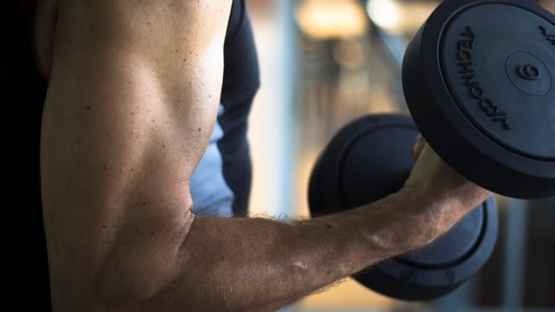 Saiba Como Ganhar Massa Muscular De Maneira Saudável