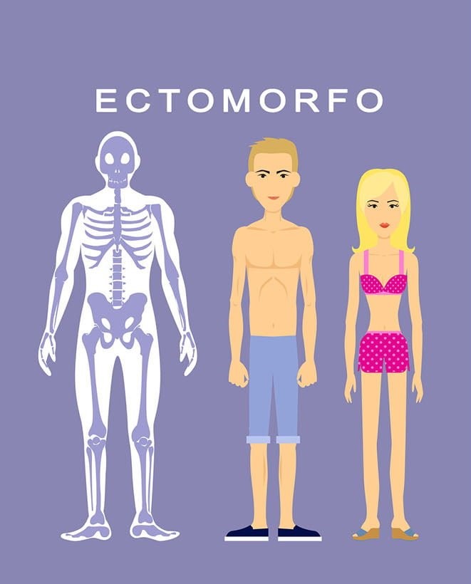 Dicas Para Ectomorfo – Dicas Importantes Para Ganhar Peso Rápido