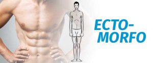 ectomorfo