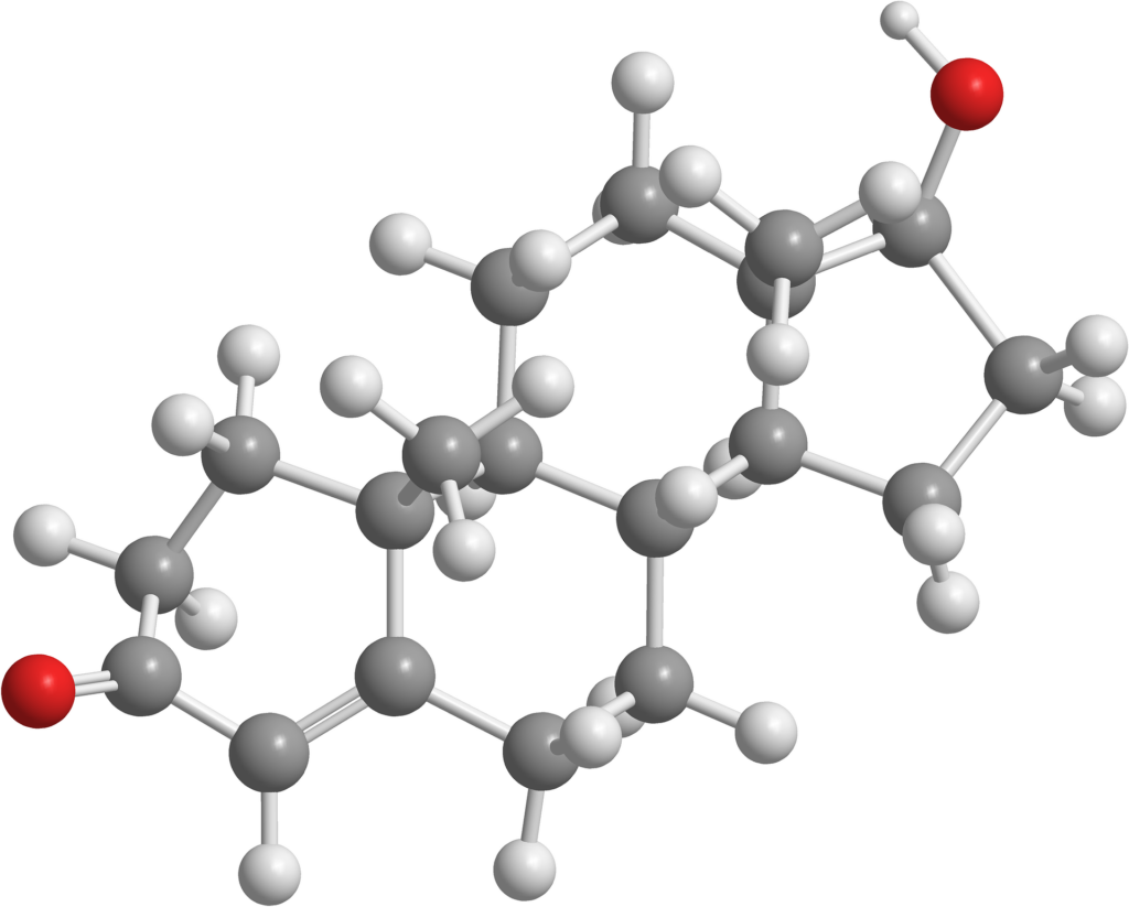 testosterona